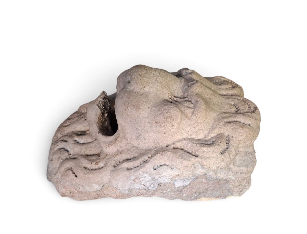 Masque de fontaine à tête de lion-photo-3