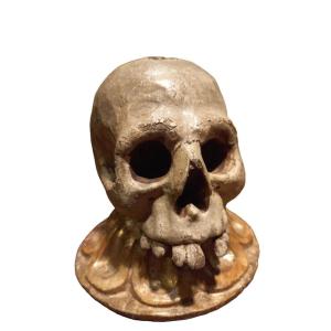 Skull In Lacquered Wood