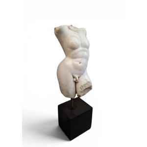 Male Torso In White Marble