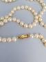 1825014-alb-6ab01e41cbe99.jpg