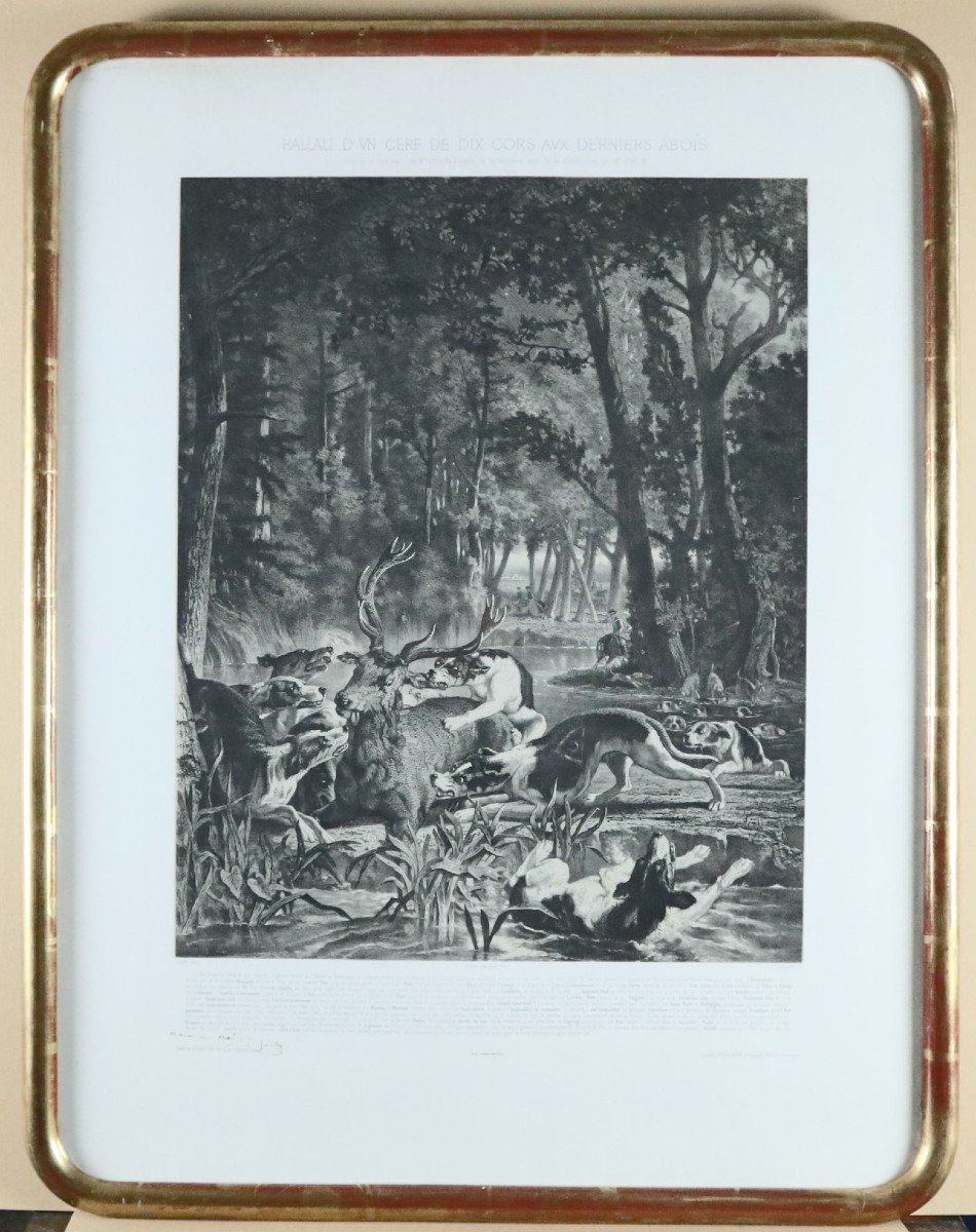 Venerie, L.g.jadin, Hallali De Cerf, Lithograph, 1858