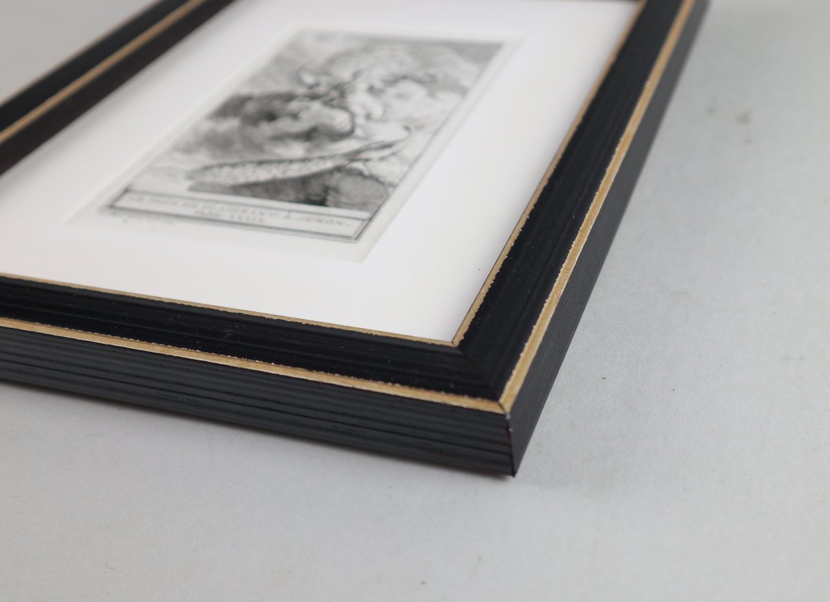 La Fontaine's Fables, A Set Of 28 Framed Prints, 1758.-photo-2