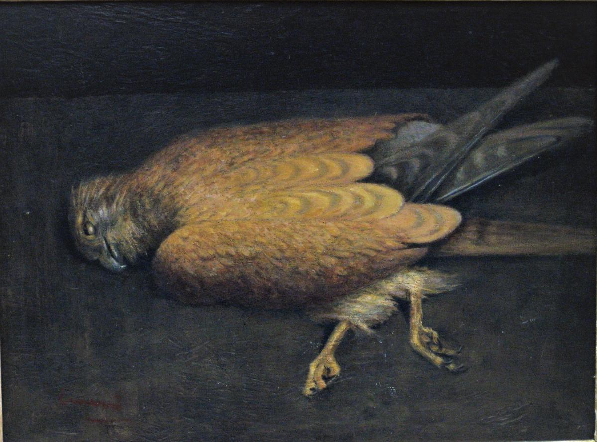 Nature Morte au rapace, Huile Sur Panneau, école Française Du XXeme Siècle-photo-2