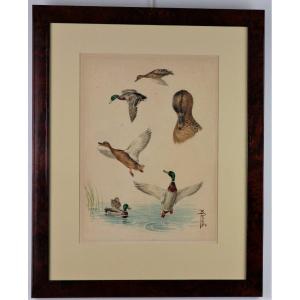 Riab Boris, Study Of Mallard Ducks, Signed Watercolor