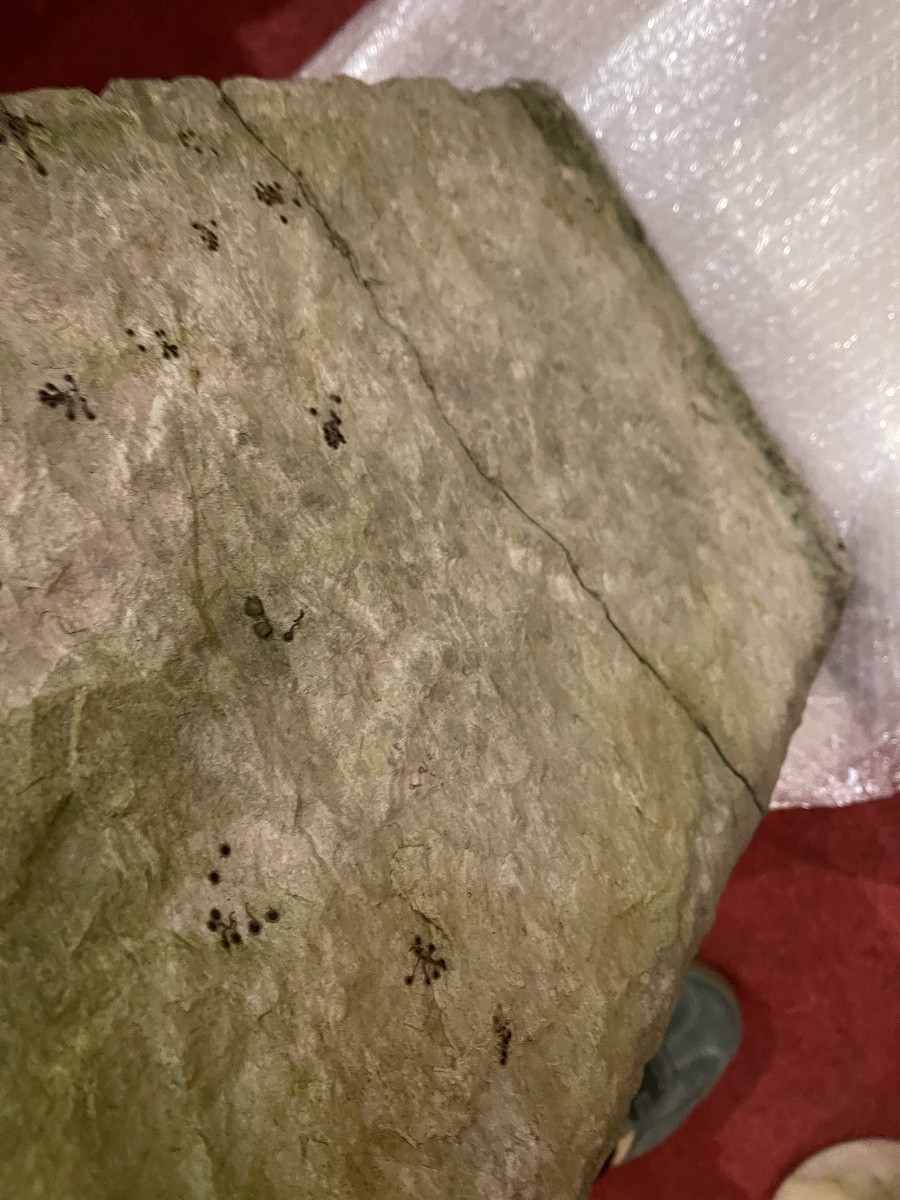 Grande stèle funéraire punique entre 100 avant -  JC et 300 Après - JC -photo-2