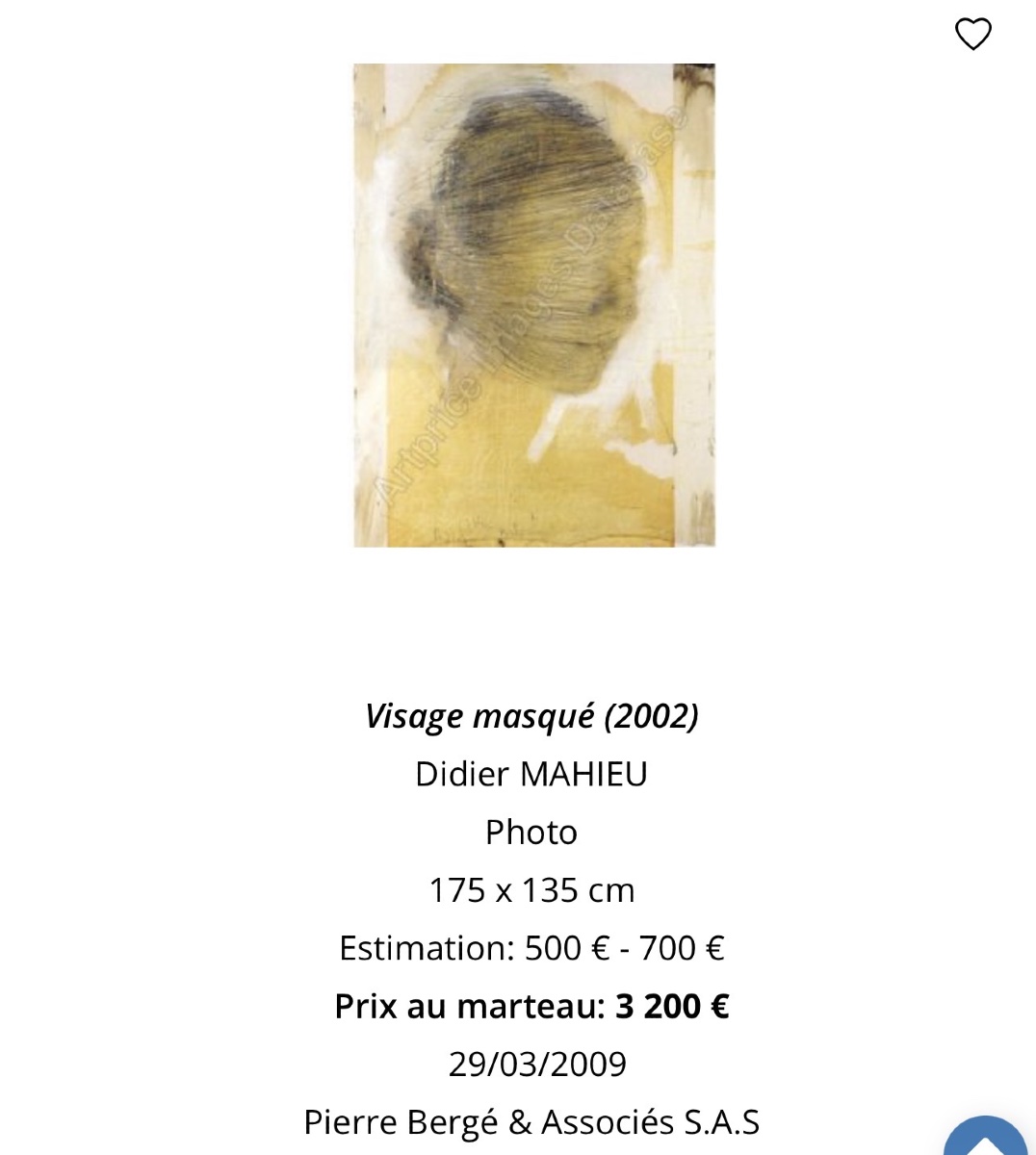 Didier Mahieu (1961) Anna Spiegelman Photography And Organic Material On Paper 200 X 150-photo-4