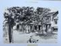 1807815-alb-6a7d7f682454d.jpg
