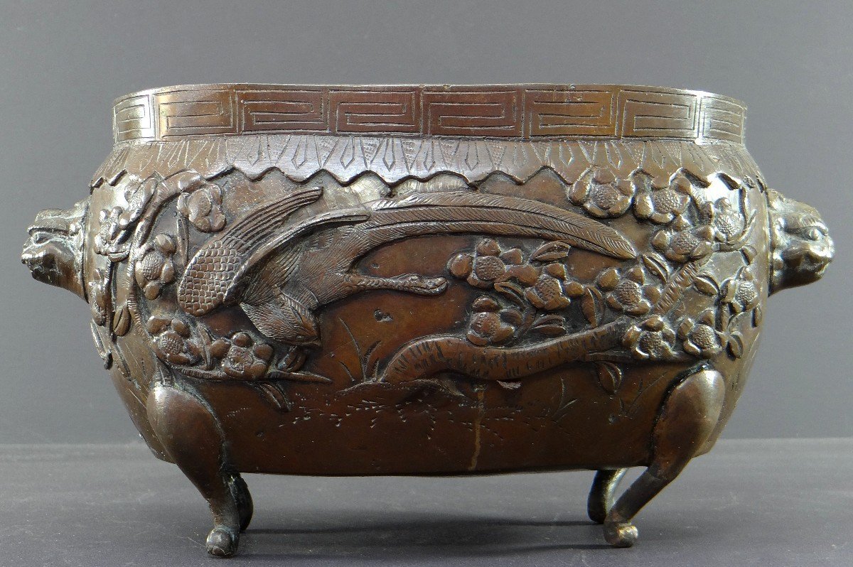 Vietnam Or South China, XIXth Century, Important Bronze Perfume Burner Decor Of Phoenix.-photo-4