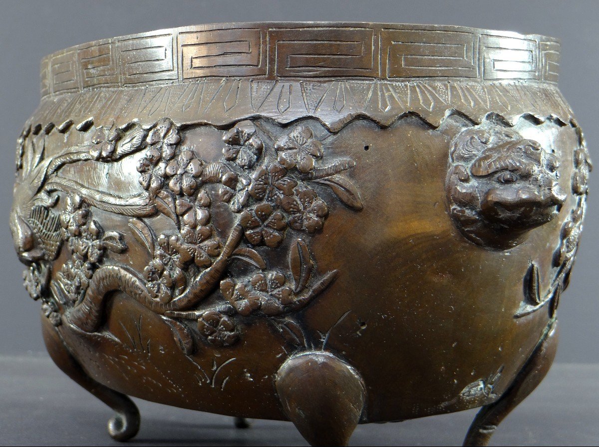 Vietnam Or South China, XIXth Century, Important Bronze Perfume Burner Decor Of Phoenix.-photo-4