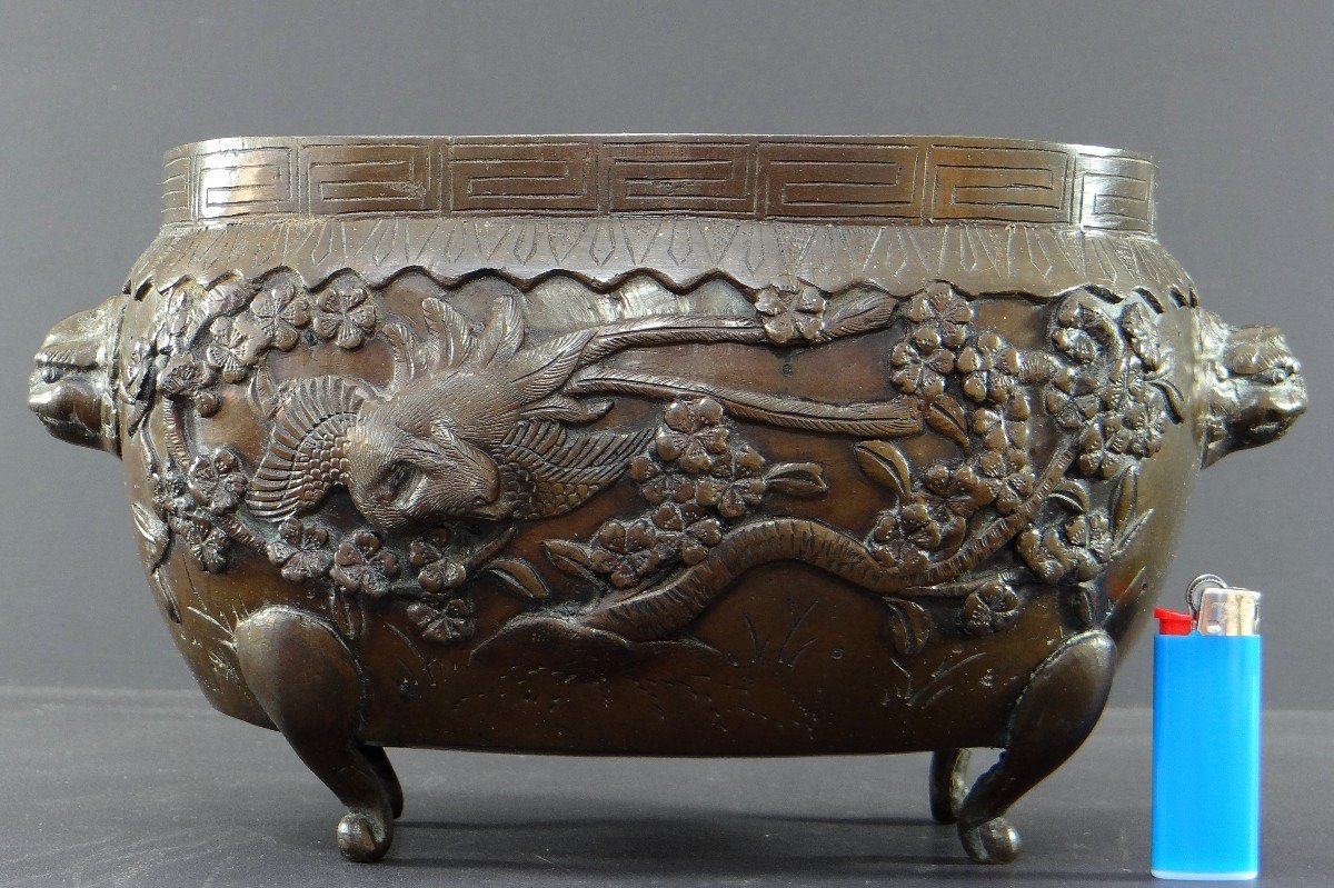 Vietnam Or South China, XIXth Century, Important Bronze Perfume Burner Decor Of Phoenix.-photo-8