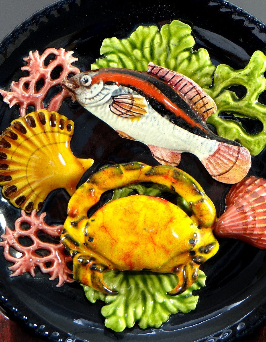 Vallauris, 1950s, Trompe l'Oeil Plate Decor Fish, Crab, Shells, Coral. -photo-4