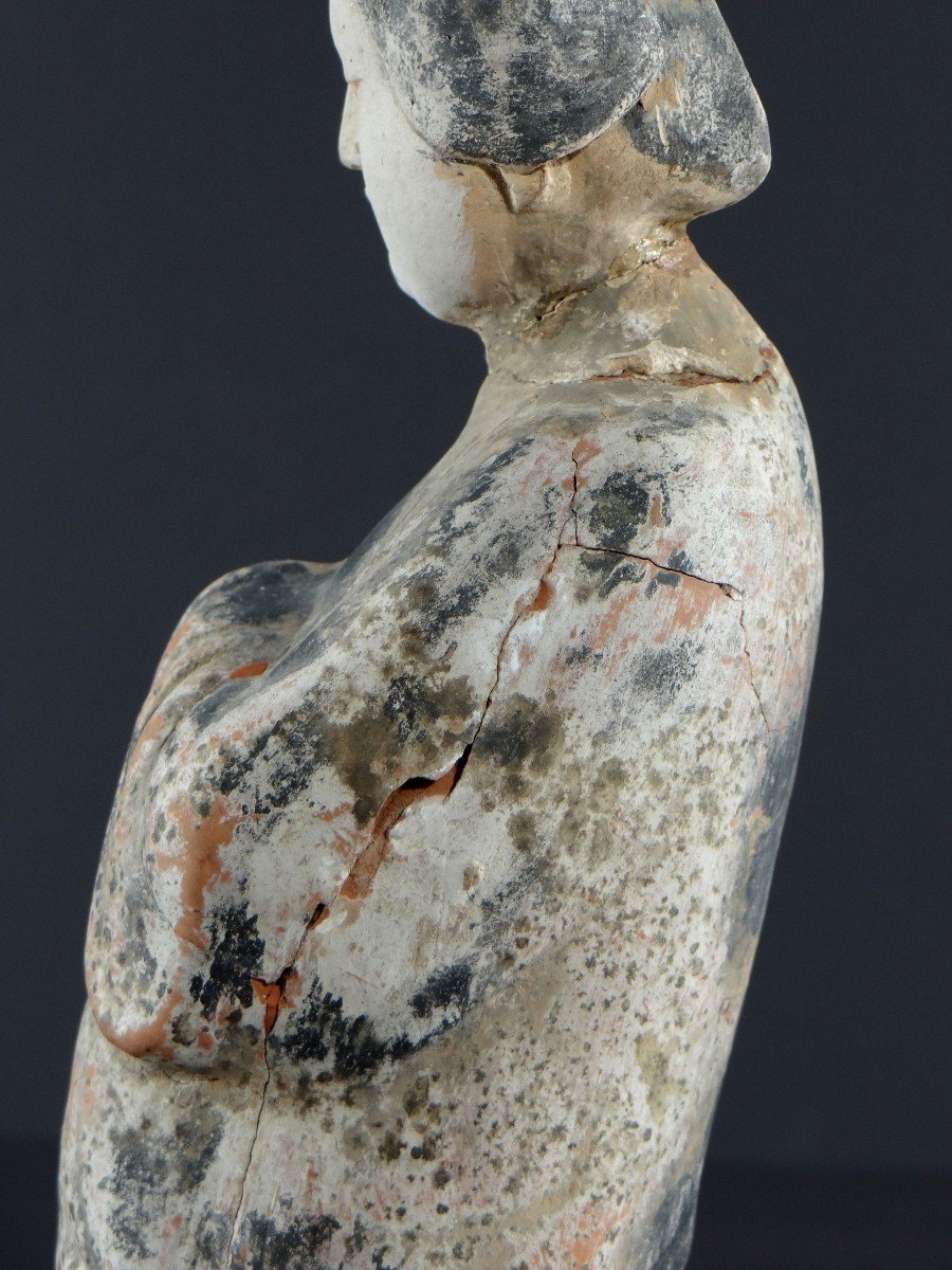 Chine, époque Dynastie Tang (618-907), Statuette En Terre Cuite Dame De Cour Appelée «fat Lady»-photo-7