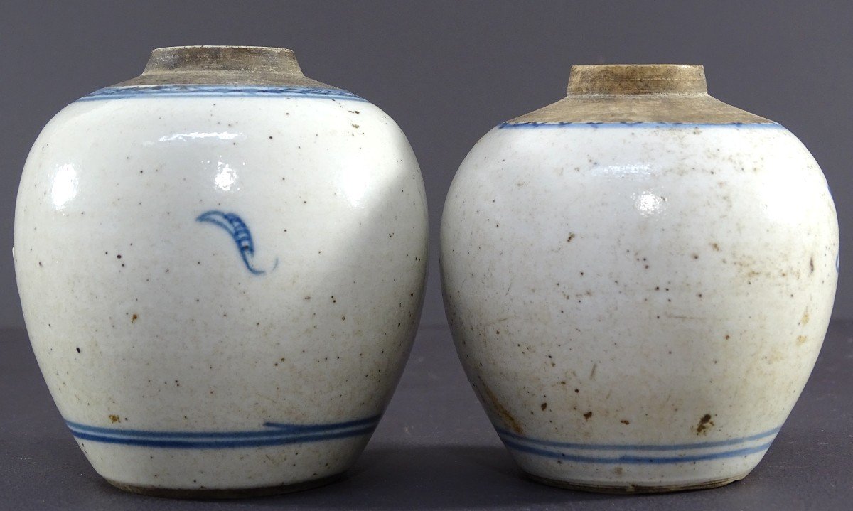 China, Qing Dynasty, 17th Century, Pair Of Small Porcelain Ginger Jars. -photo-1