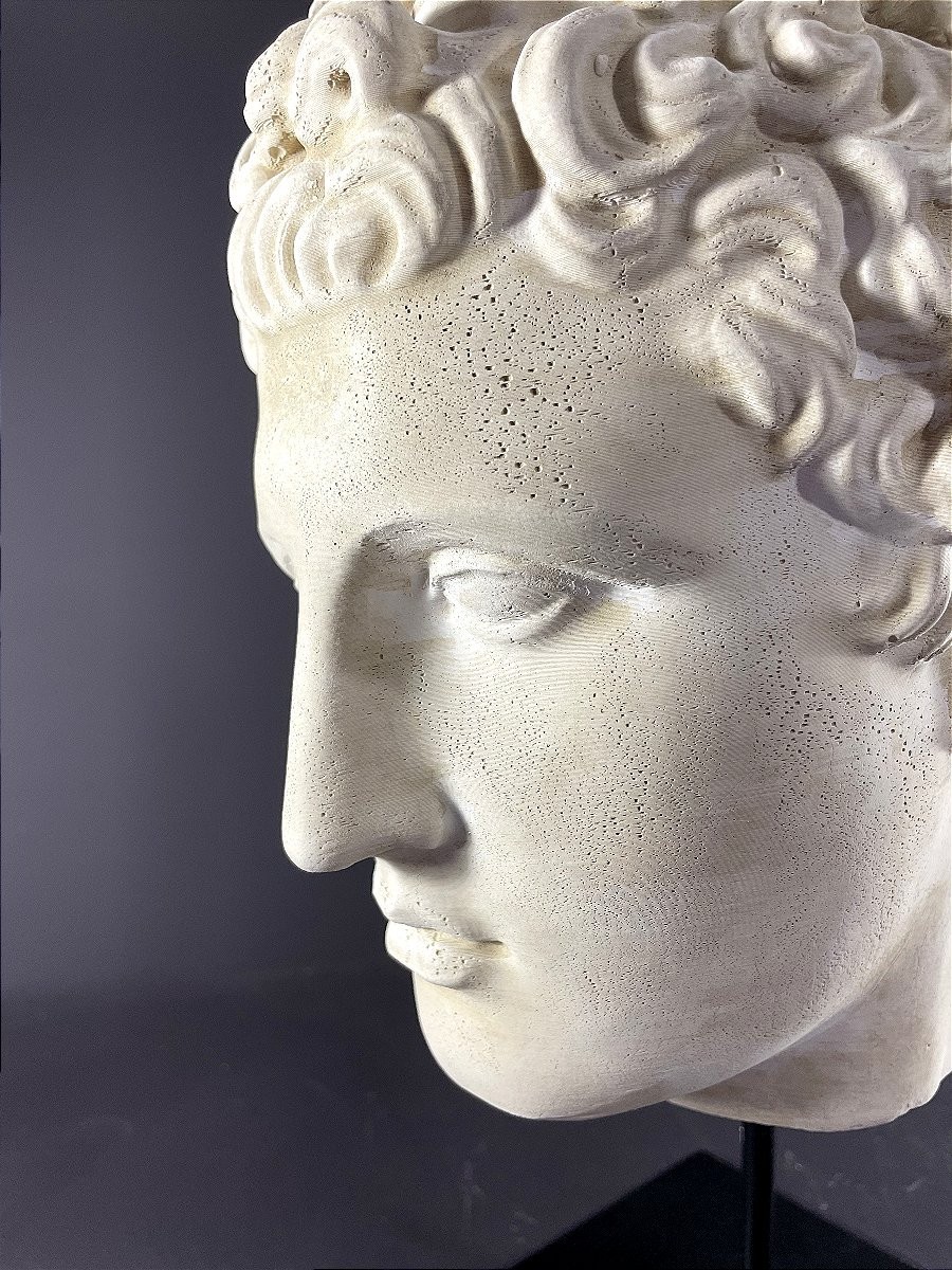 Italie, Années 1970/1980, Tête d'après l'Antique En Plâtre Figurant Un Jeune Homme.
