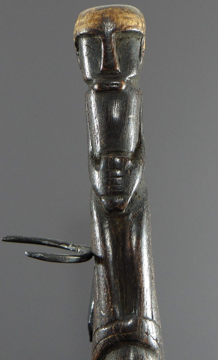 Indonésie, île De Sumatra, Peuple Batak-toba, Bâton De Commandement De Chef De Tribu, 1930-1950-photo-3