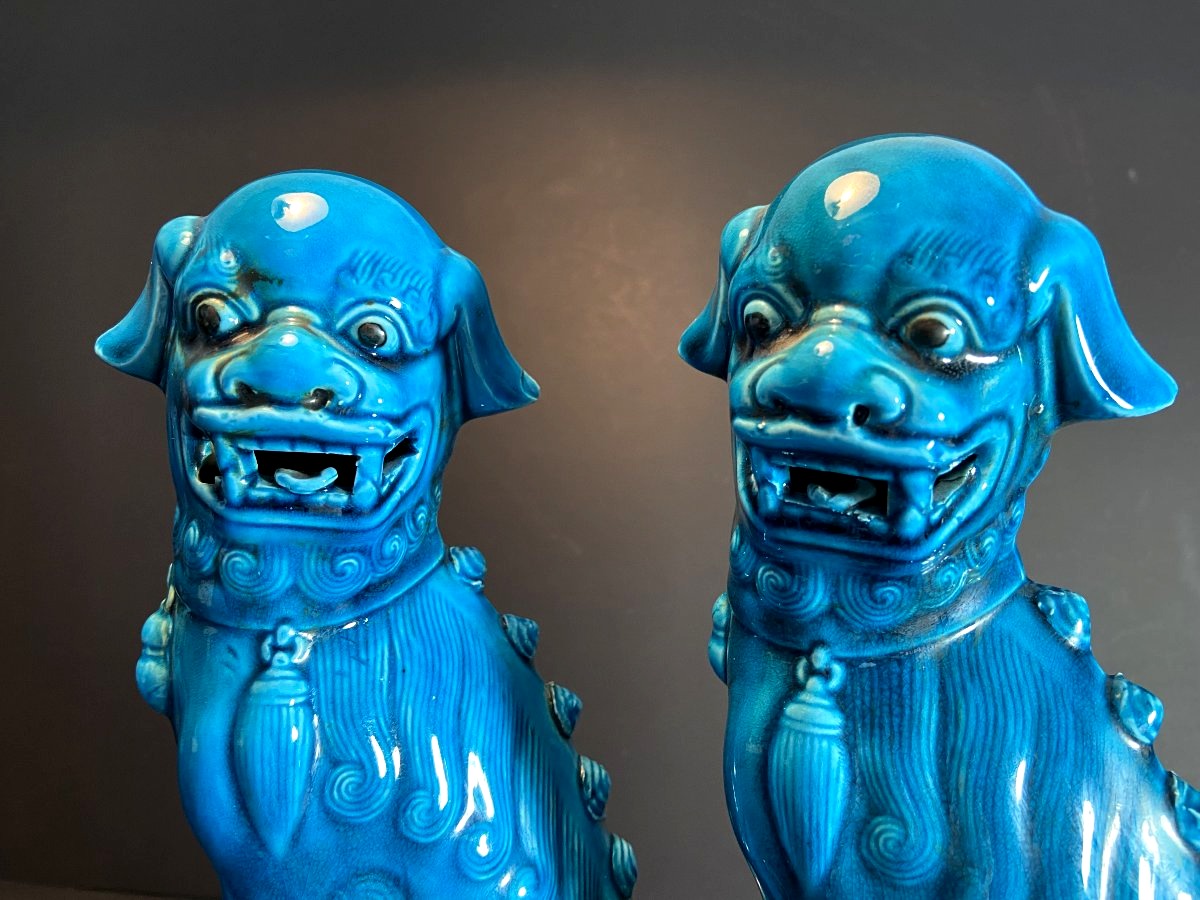 China, 1950s/1960s, Pair Of De Fo Dogs In Turquoise Blue Porcelain.-photo-2
