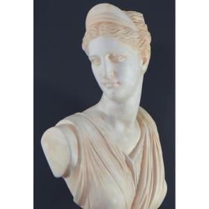 France, Années 1950/1960, Buste En Plâtre Figurant Aphrodite, Déesse Antique Grecque.