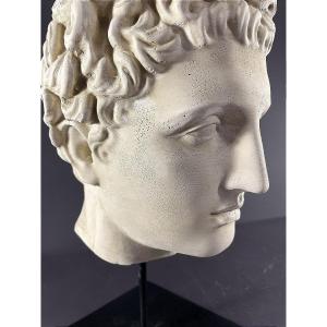 Italy, 1970s/1980s, Head After The Antique In Plaster Depicting A Young Man.