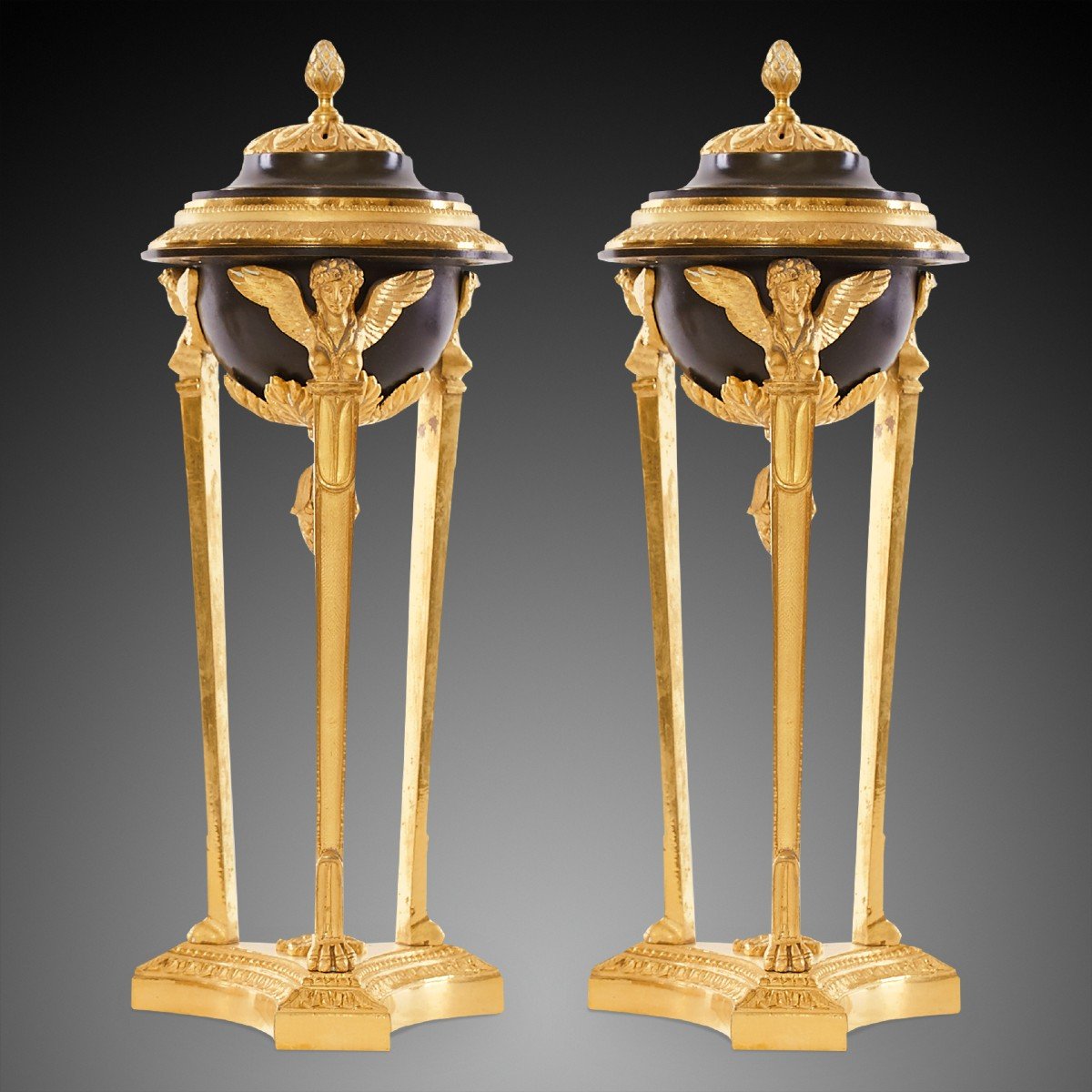 A Pair Of Candelabra In  Empire Style