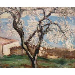 Un Cerisier, 1925 - Emmanuel-Charles Bénézit - Ecole Provençale