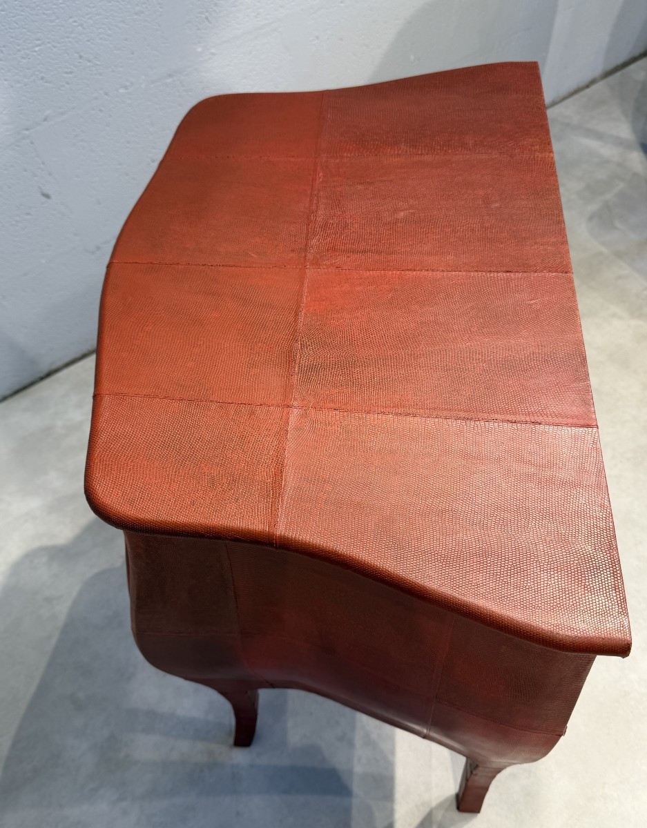 Ginger Brown (Éditeur) Modèle «Saraya» Paire de commodes entièrement gainées de peaux de lézard-photo-4