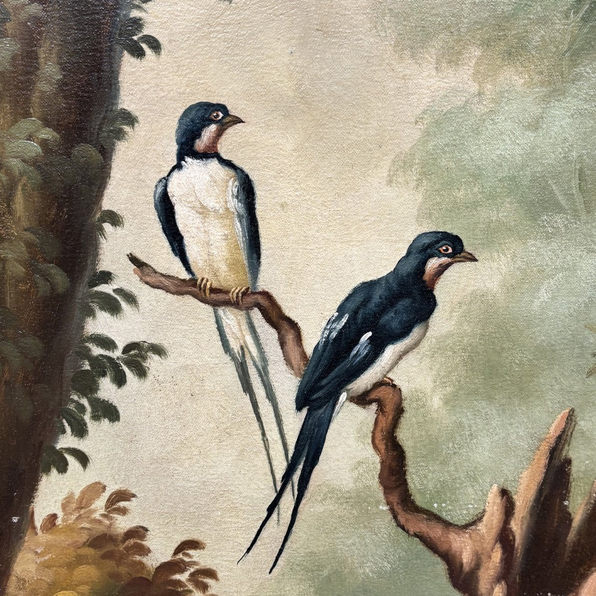 Peinture naturaliste ancienne du XIXe siècle-photo-7