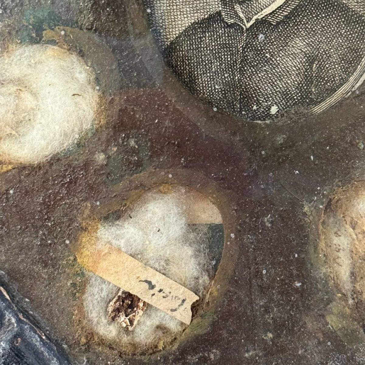 Octagonal Reliquary With Relics And Saint Francis Borgia, 17th–18th Century-photo-7