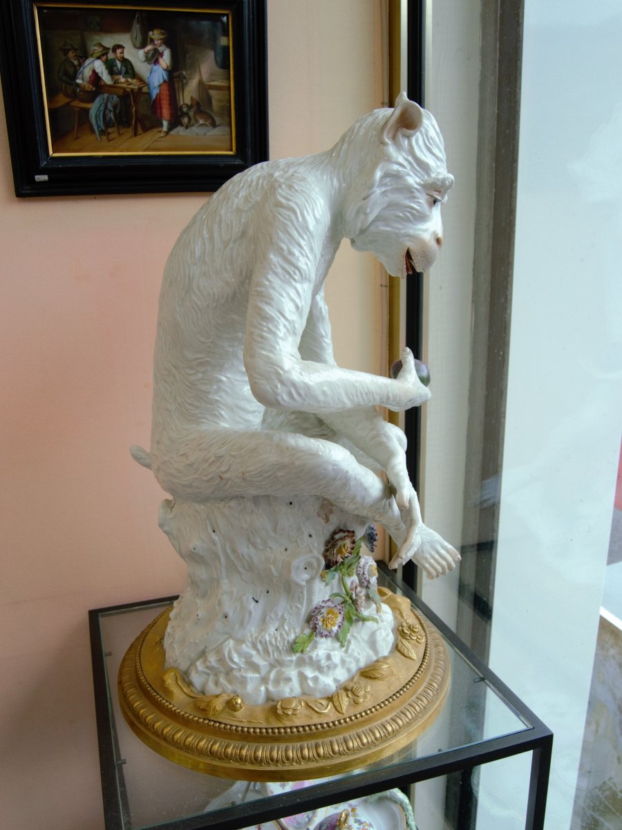 Porcelain Monkey - Meissen (according To) - XIXth-photo-4