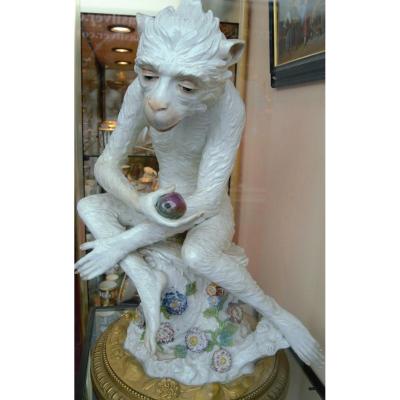 Porcelain Monkey - Meissen (according To) - XIXth