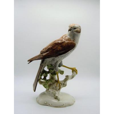 Falcon Or Hawk - German Porcelain End XIX- Beginning XXth