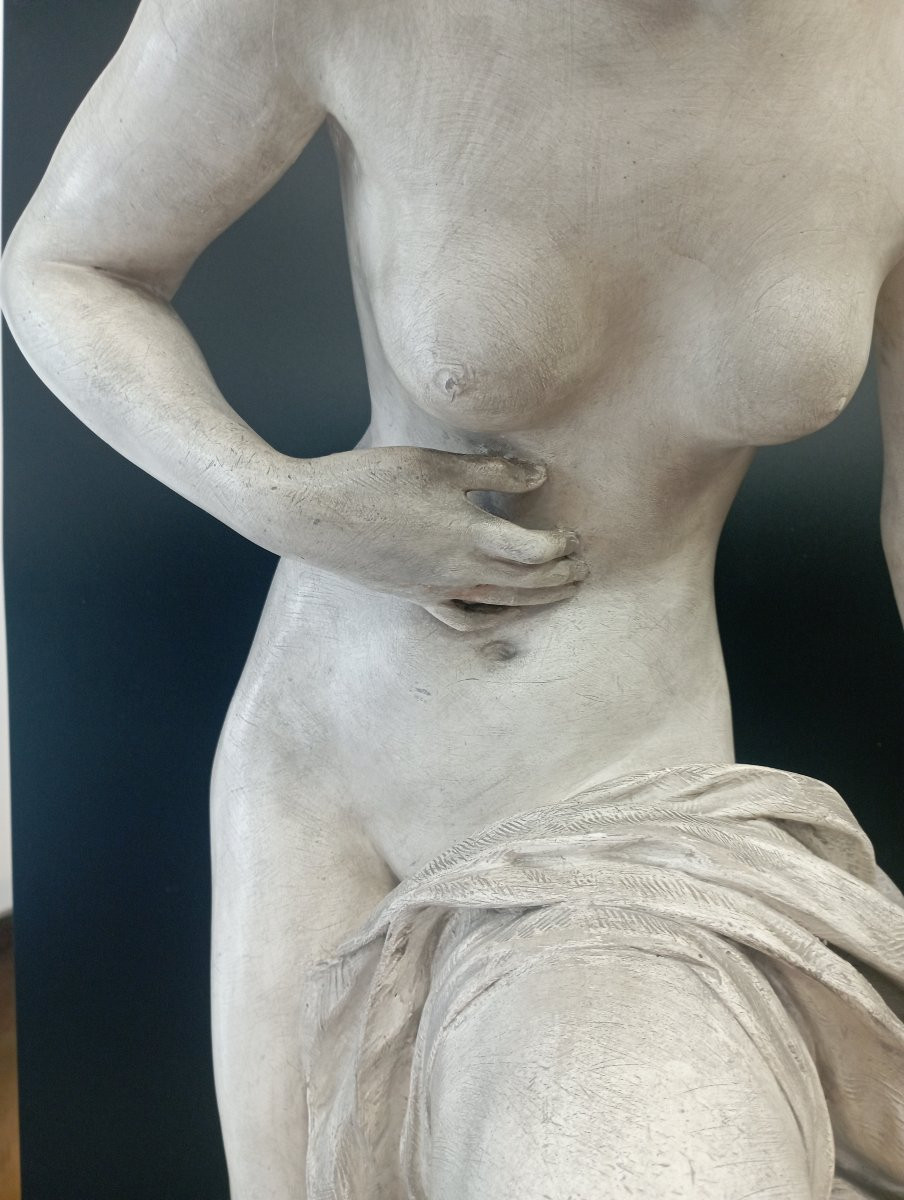 Sculpture en plâtre  de Paul François Choppin -photo-4