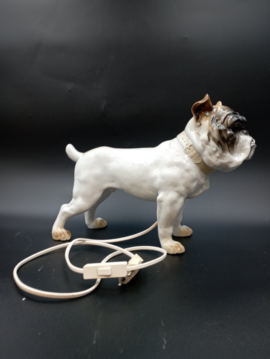 Veilleuse Bouledogue Capodimonte début XXème siècle-photo-2