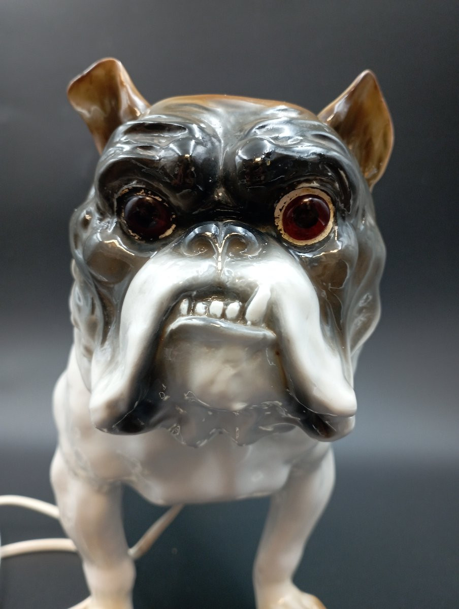 Veilleuse Bouledogue Capodimonte début XXème siècle-photo-3
