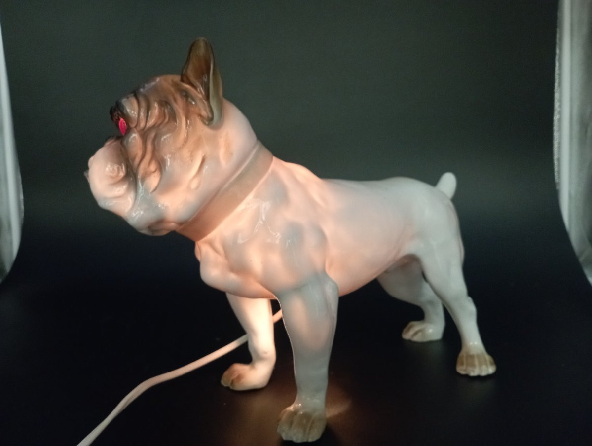 Veilleuse Bouledogue Capodimonte début XXème siècle-photo-1