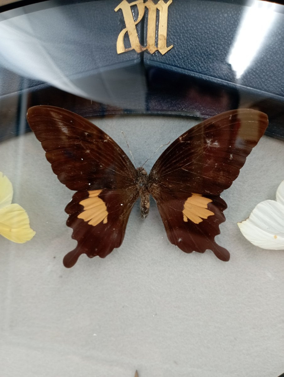 Pendule murale aux papillons attribuée a Adnet-photo-3