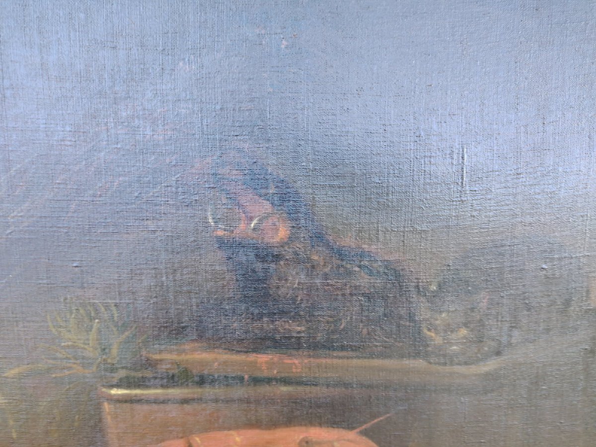 Still Life, Dutch School (17th Century?)-photo-3