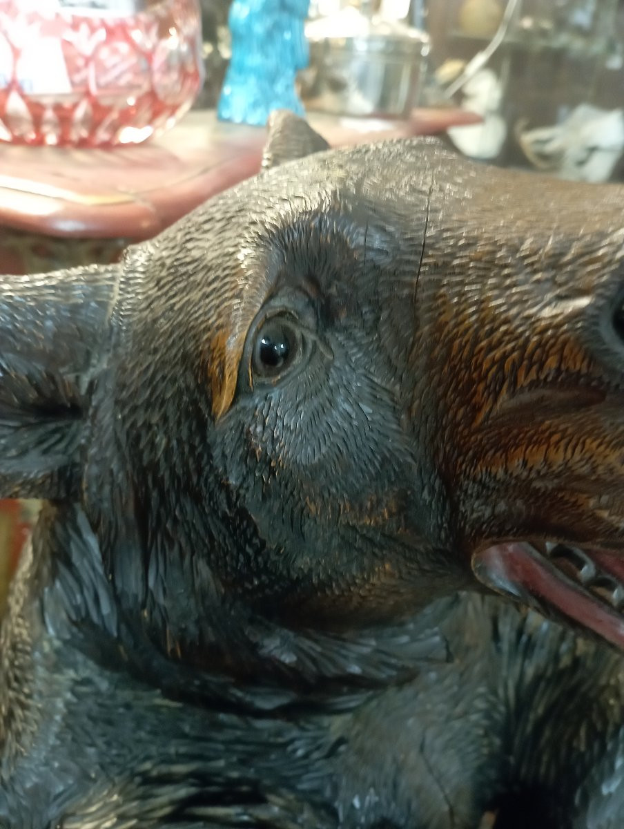 Porte-parapluie ours travail de la foret noire époque XIX ème siècle-photo-5