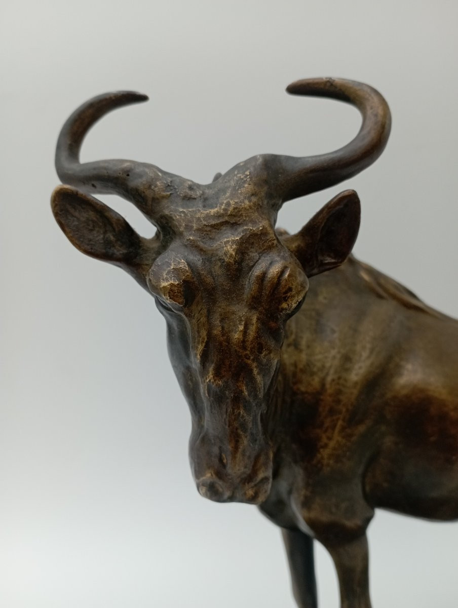 Bronze Wildebeest Sculpture-photo-3
