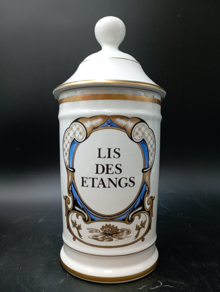 collection de pots d'apothicaire Limoges France-photo-5