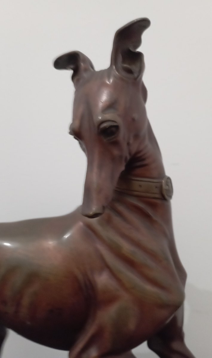 Sculpture en bronze ''lévrier avec un papillon'' par Arthur Waagen-photo-1