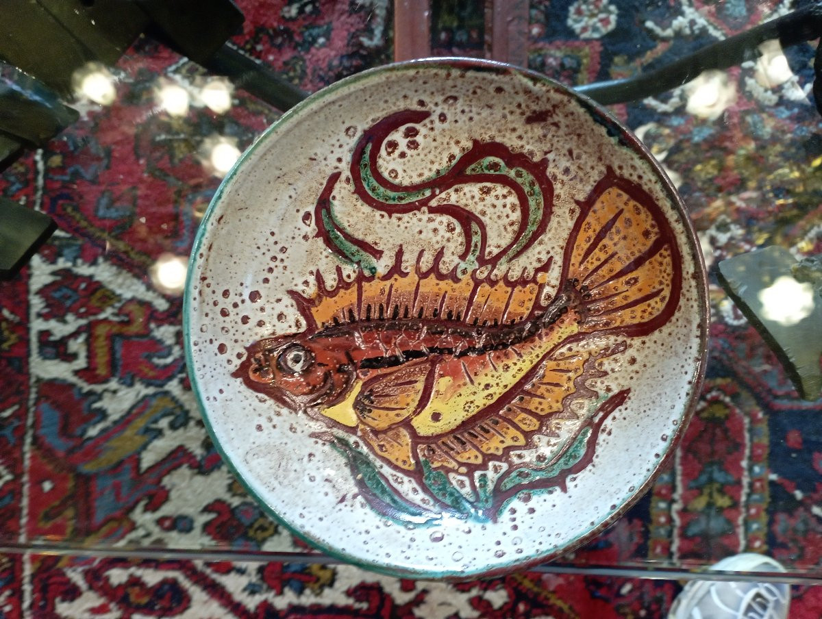 Fish Service Vallauris-photo-3