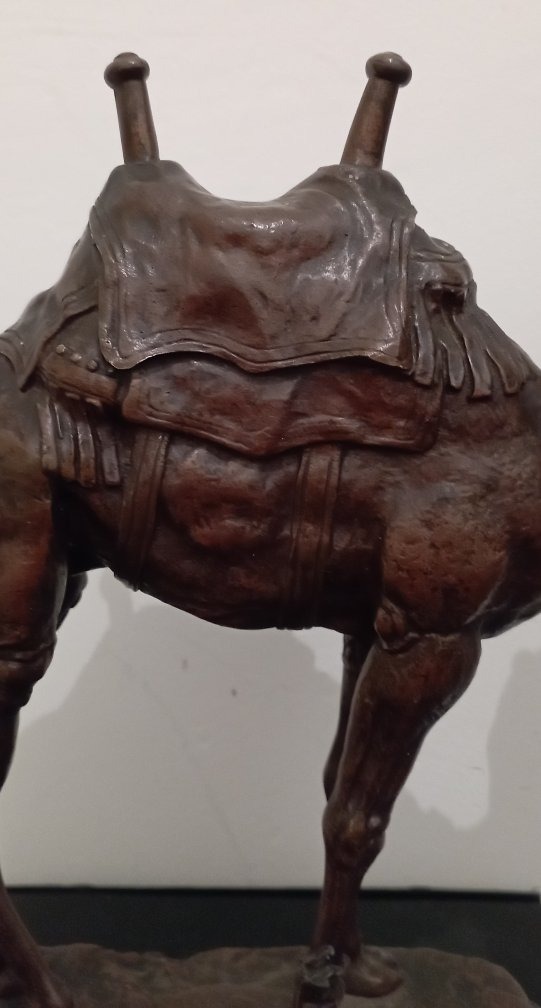 "Dromadaire harnaché d'Egypte" Sculpture een bronze par Antoine Louis Barye-photo-1