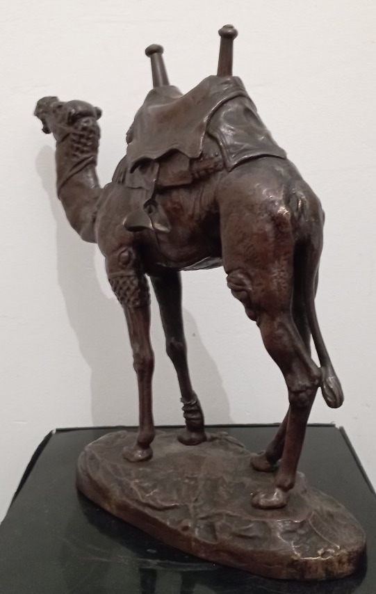 "Dromadaire harnaché d'Egypte" Sculpture een bronze par Antoine Louis Barye-photo-4