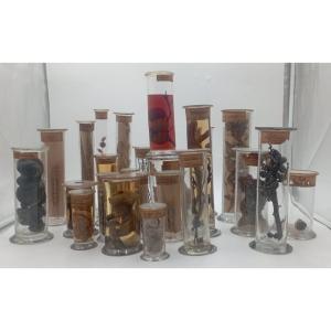 Grand lot cabinet de curiosité
