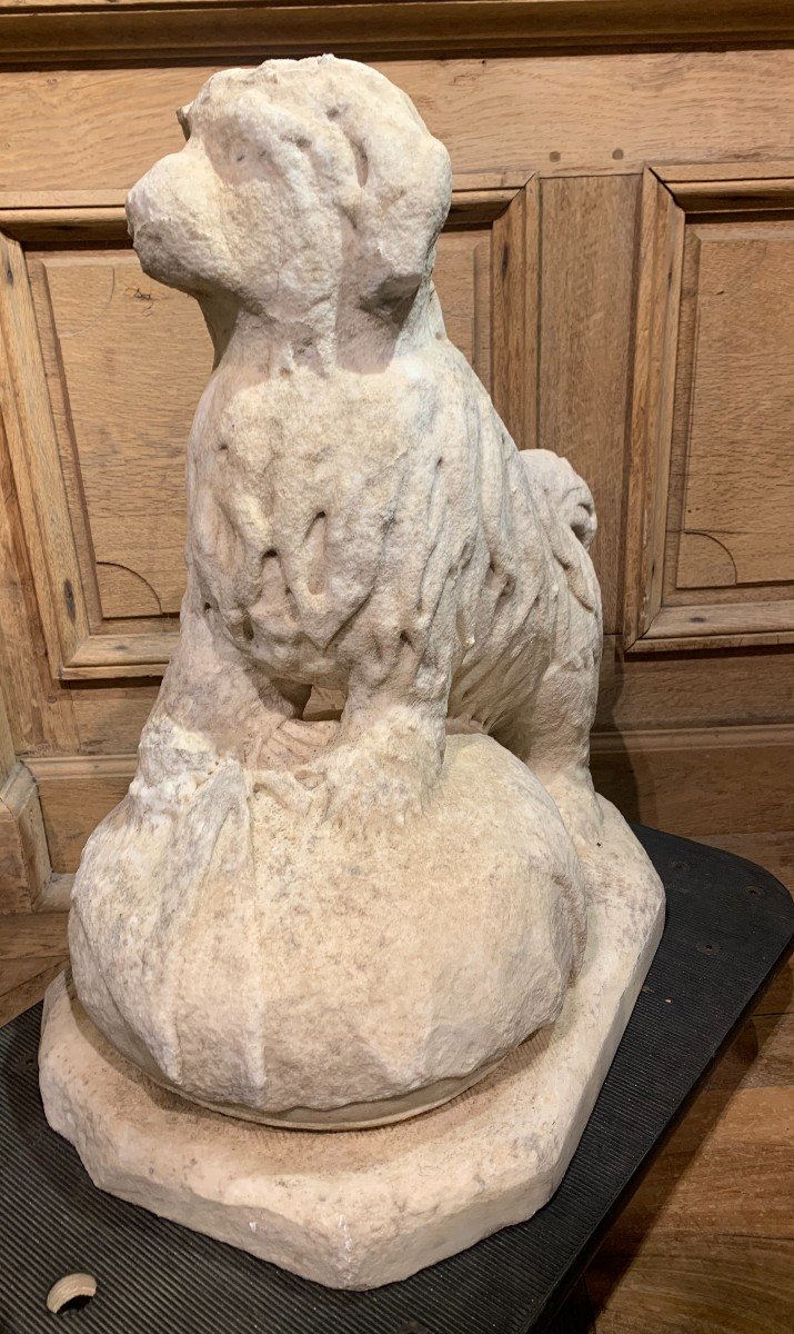 Dog Known As Bichon In Carrara Marble Early 18th Century.-photo-3