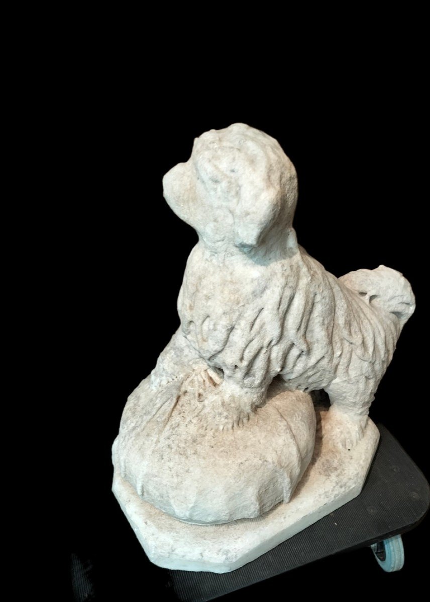 Dog Known As Bichon In Carrara Marble Early 18th Century.