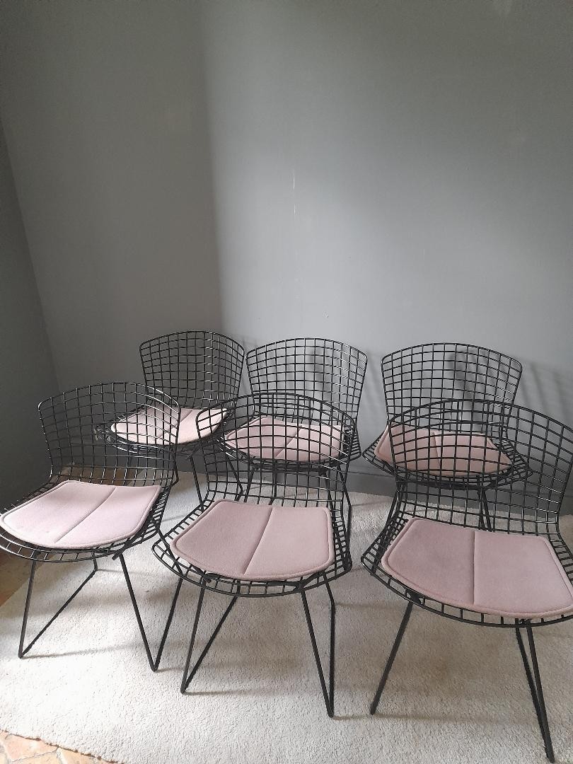 Six chaises BERTOIA édition KNOLL-photo-5