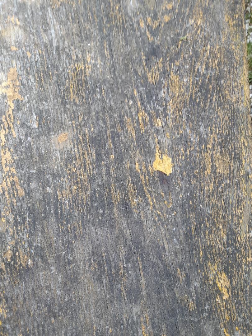 Banc de jardin en chêne -photo-3