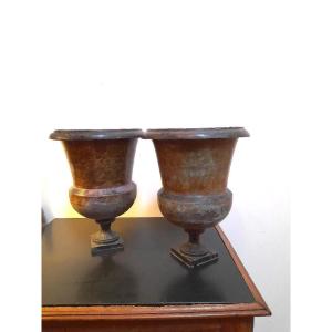 Pair Of Medici Vases In Patinated Iron