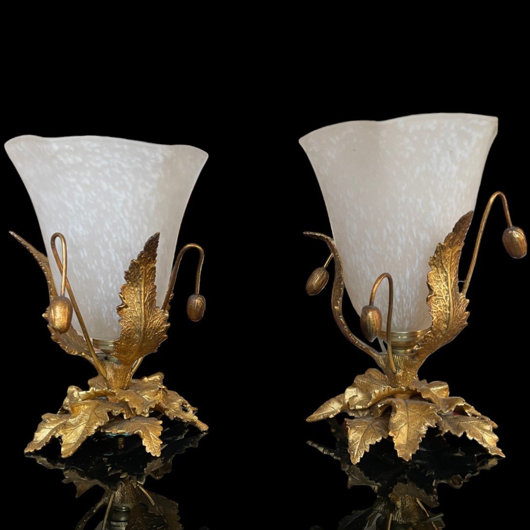 Paire De Lampes Veilleuses Schneider-photo-4